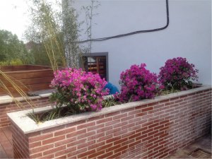 旺山精品酒店，美式屋頂花園效果圖